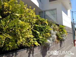 jardín vertical en muro