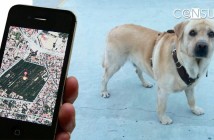 ¡No pierdas a tu perro! Dispositivos GPS