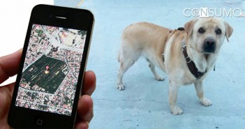 ¡No pierdas a tu perro! Dispositivos GPS