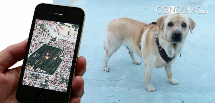 ¡No pierdas a tu perro! Dispositivos GPS