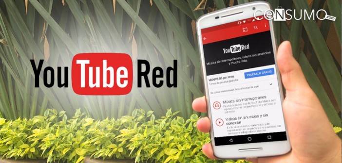 Google lanza YouTube Red en México: videos y música offline y sin anuncios