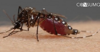 Vacuna contra el Zika