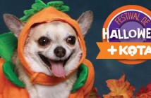 Disfraza a tu perro y llévalo al Festival de Halloween de +Kota