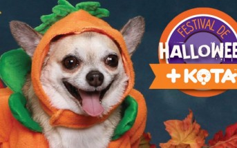 Disfraza a tu perro y llévalo al Festival de Halloween de +Kota