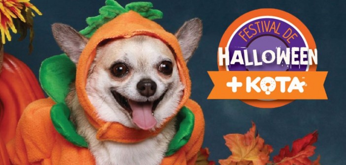Disfraza a tu perro y llévalo al Festival de Halloween de +Kota