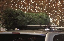 La ADAC nos enseña cómo transportar un árbol de navidad