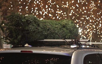 La ADAC nos enseña cómo transportar un árbol de navidad