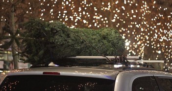 La ADAC nos enseña cómo transportar un árbol de navidad