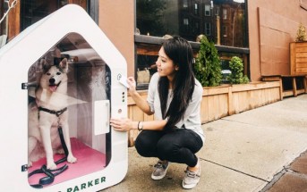 Dog Parker: estacionamiento inteligente para perros