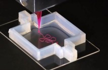 Harvard utiliza impresión 3-D para formar un riñón