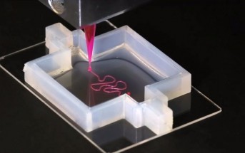 Harvard utiliza impresión 3-D para formar un riñón