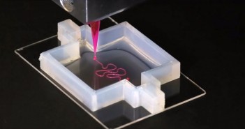 Harvard utiliza impresión 3-D para formar un riñón