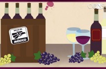 10 datos que no sabías sobre el vino mexicano