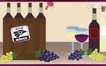 10 datos que no sabías sobre el vino mexicano