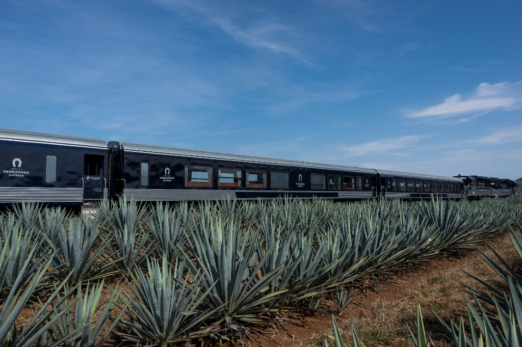 Tequila Herradura Express, un tren turístico para los amantes del tequila