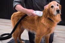 BarkBath, una manera de bañar a tu perro sin ensuciar