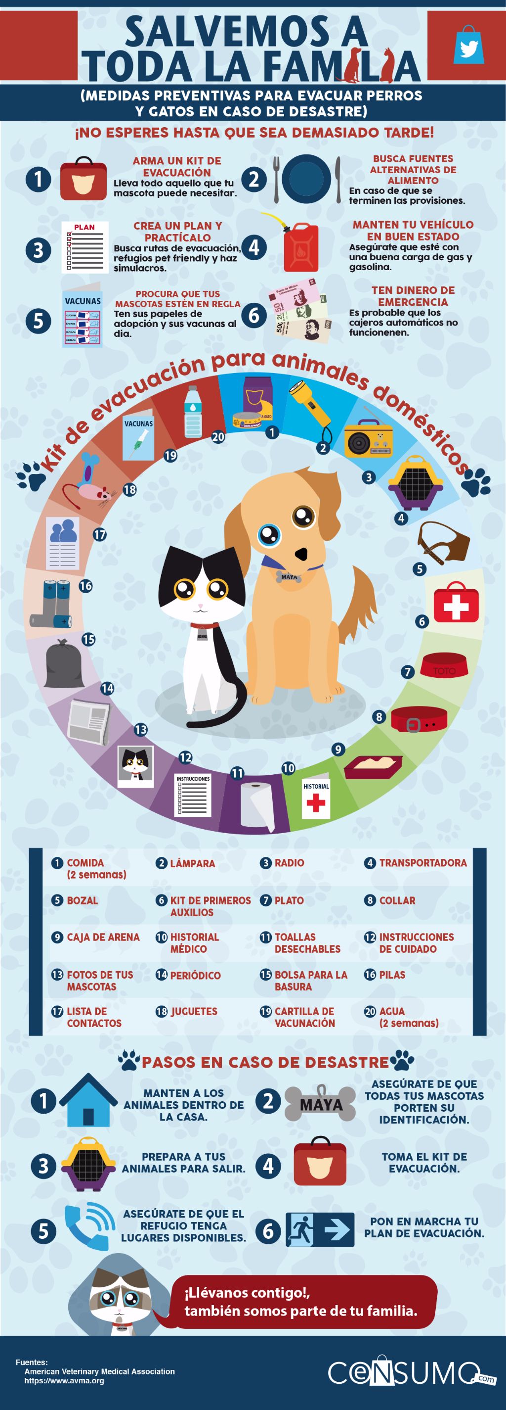 Medidas preventivas para evacuar perros y gatos en caso de desastre