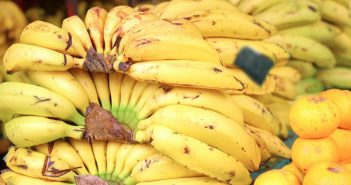 Plátano: todo lo que debes saber