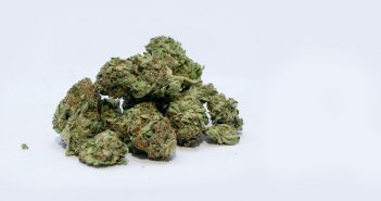 Marihuana medicinal, el polémico tratamiento alternativo