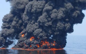 Oleo Sponge: la esponja que absorbe el petróleo y limpia el agua