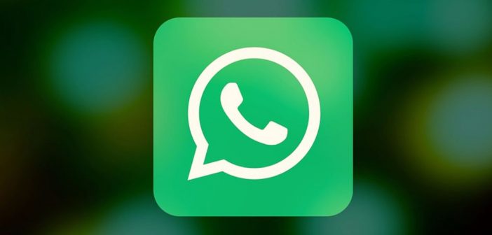 WhatsApp Business ya está en periodo de prueba