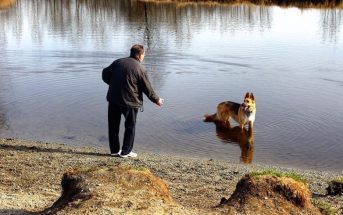 Tener un perro disminuye las probabilidades de morir