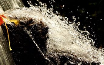 Estudiante mexicano desarrolló un purificador de aguas grises capaz de reciclarla hasta cinco veces.