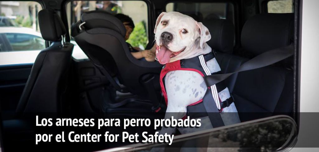 Center for pet top safety car harness