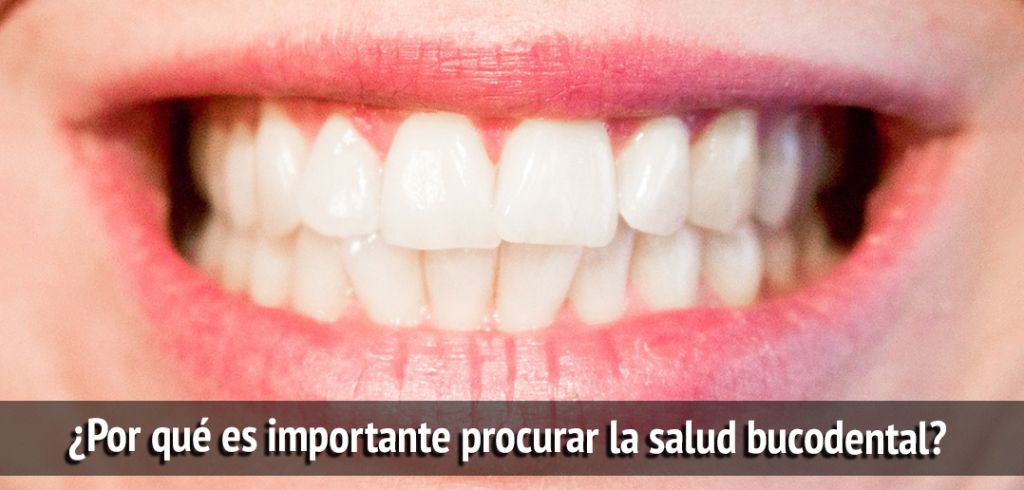 ¿Por Qué Es Importante Procurar La Salud Bucodental?