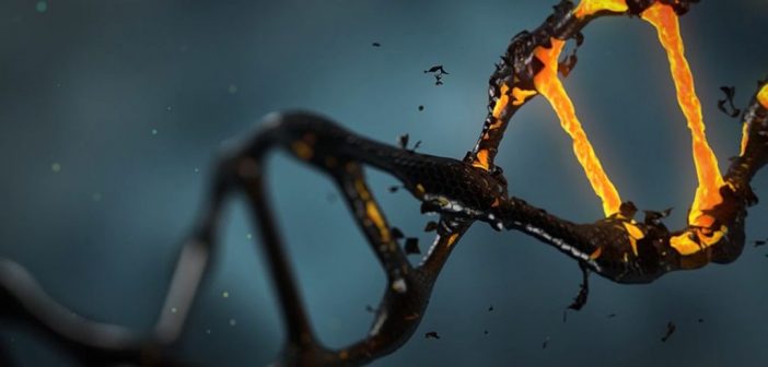 ¿Cómo funciona la terapia genética?