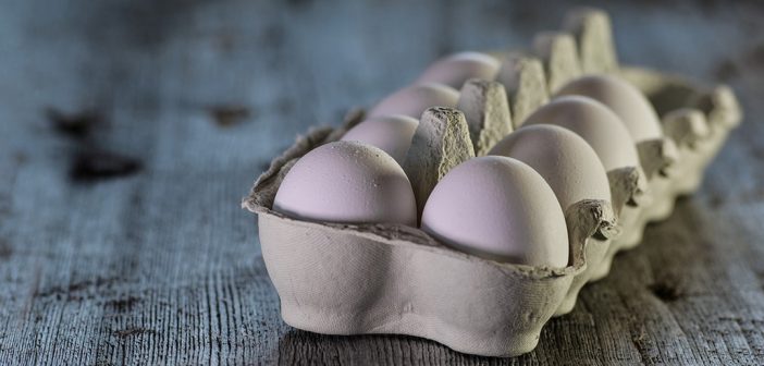 El huevo, información y curiosidades sobre su consumo