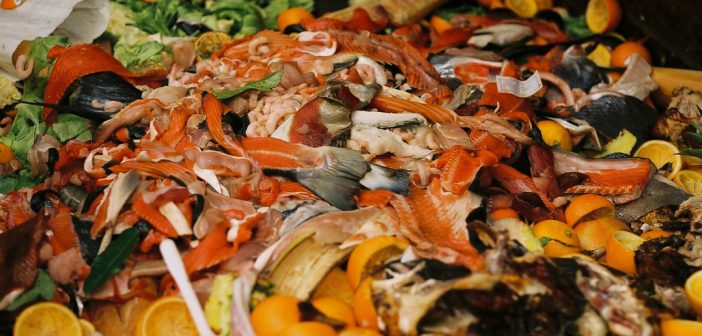 ¿Cómo disminuir el desperdicio de alimentos?