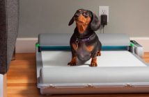 BrilliantPad; el tapete que te ayudará con la suciedad de tus mascotas