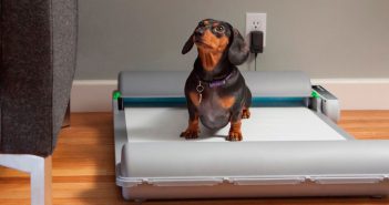 BrilliantPad; el tapete que te ayudará con la suciedad de tus mascotas